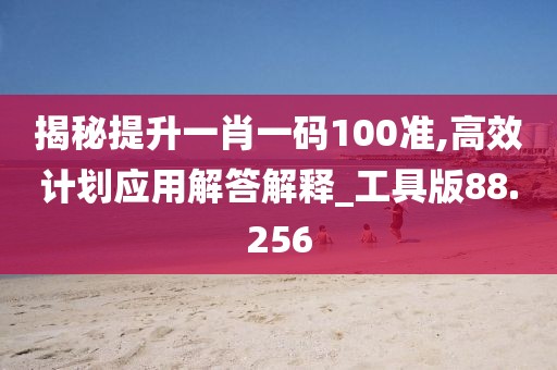 揭秘提升一肖一码100准,高效计划应用解答解释_工具版88.256