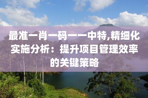 最准一肖一码一一中特,精细化实施分析：提升项目管理效率的关键策略
