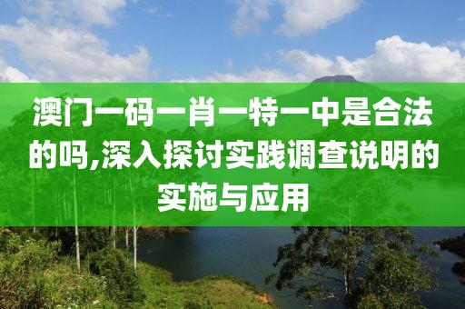 澳门一码一肖一特一中是合法的吗,深入探讨实践调查说明的实施与应用
