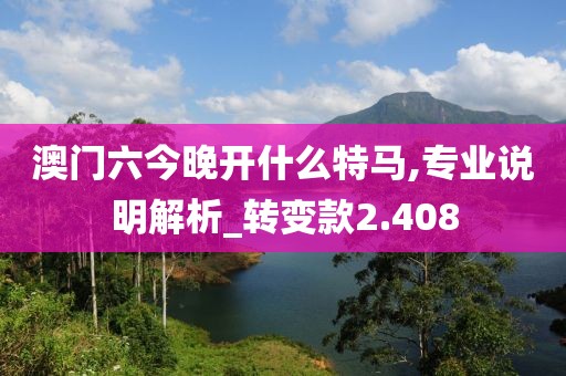 澳门六今晚开什么特马,专业说明解析_转变款2.408