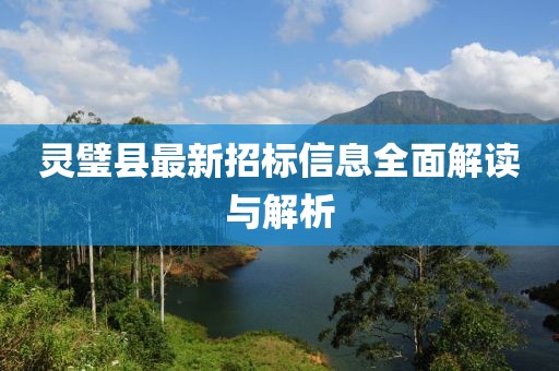 灵璧县最新招标信息全面解读与解析