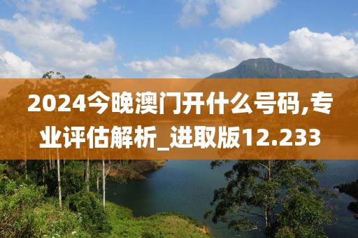 2024今晚澳门开什么号码,专业评估解析_进取版12.233