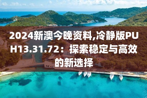 2024新澳今晚资料,冷静版PUH13.31.72：探索稳定与高效的新选择