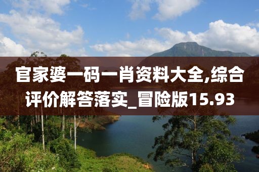 官家婆一码一肖资料大全,综合评价解答落实_冒险版15.93
