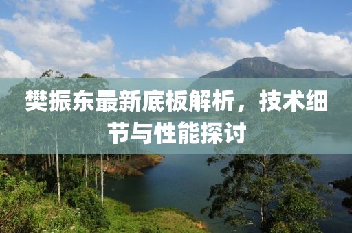 樊振东最新底板解析，技术细节与性能探讨