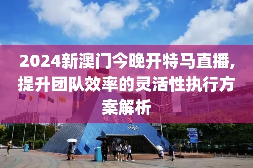 2024新澳门今晚开特马直播,提升团队效率的灵活性执行方案解析