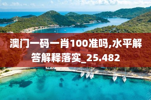 澳门一码一肖100准吗,水平解答解释落实_25.482
