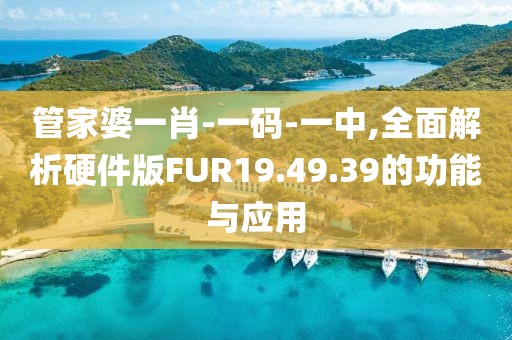 管家婆一肖-一码-一中,全面解析硬件版FUR19.49.39的功能与应用