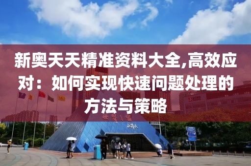 新奥天天精准资料大全,高效应对：如何实现快速问题处理的方法与策略