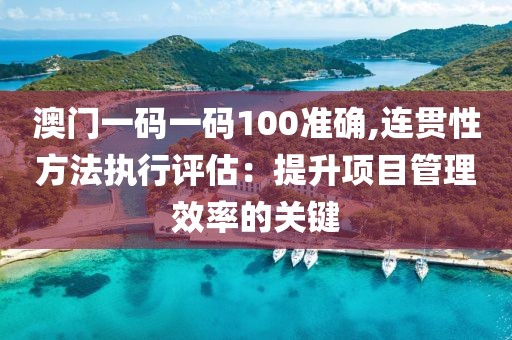 澳门一码一码100准确,连贯性方法执行评估：提升项目管理效率的关键