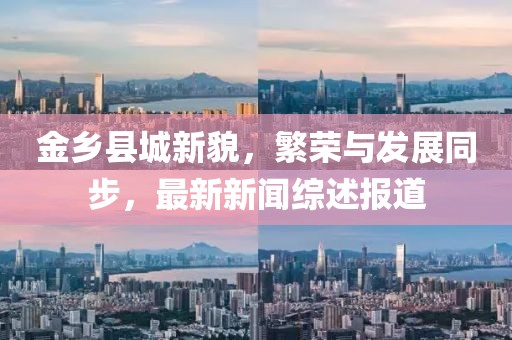 金乡县城新貌，繁荣与发展同步，最新新闻综述报道