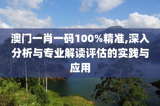 澳门一肖一码100%精准,深入分析与专业解读评估的实践与应用