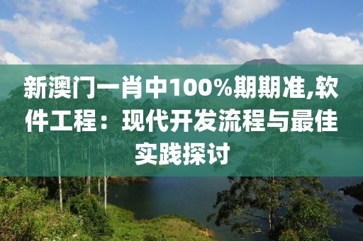 新澳门一肖中100%期期准,软件工程：现代开发流程与最佳实践探讨