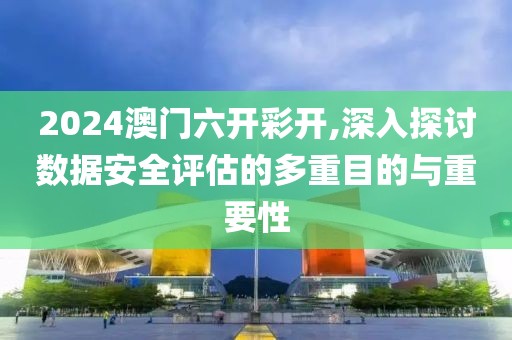 2024澳门六开彩开,深入探讨数据安全评估的多重目的与重要性