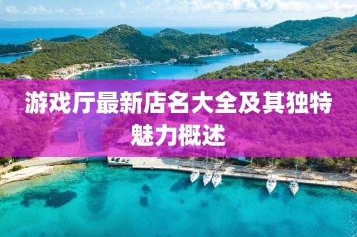 游戏厅最新店名大全及其独特魅力概述