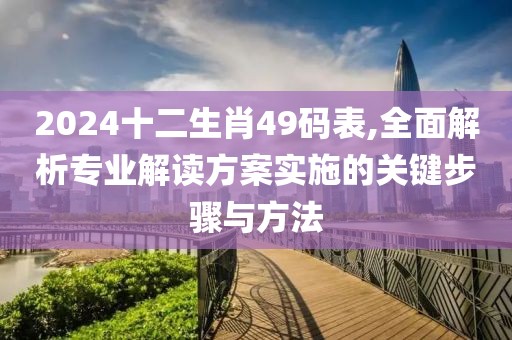 2024十二生肖49码表,全面解析专业解读方案实施的关键步骤与方法