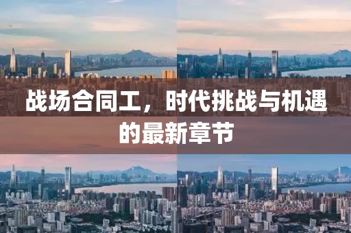 战场合同工，时代挑战与机遇的最新章节