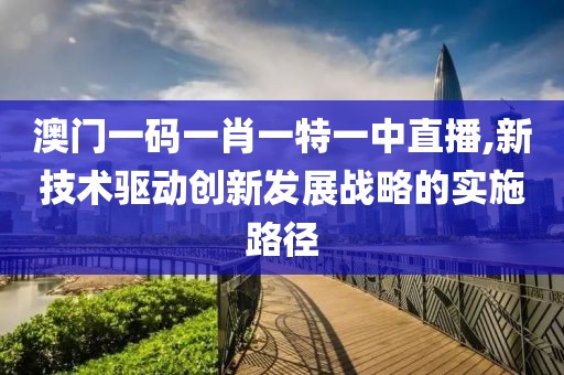 澳门一码一肖一特一中直播,新技术驱动创新发展战略的实施路径