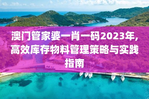 澳门管家婆一肖一码2023年,高效库存物料管理策略与实践指南