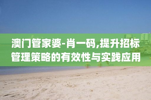 澳门管家婆-肖一码,提升招标管理策略的有效性与实践应用