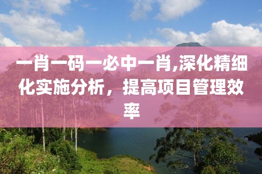 一肖一码一必中一肖,深化精细化实施分析，提高项目管理效率