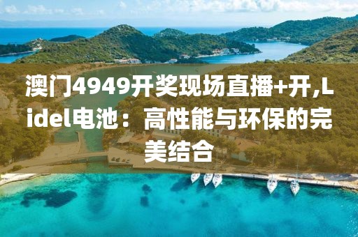 澳门4949开奖现场直播+开,Lidel电池：高性能与环保的完美结合