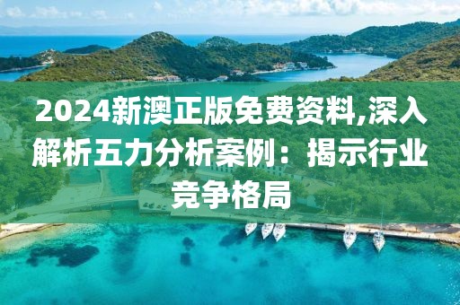 2024新澳正版免费资料,深入解析五力分析案例：揭示行业竞争格局