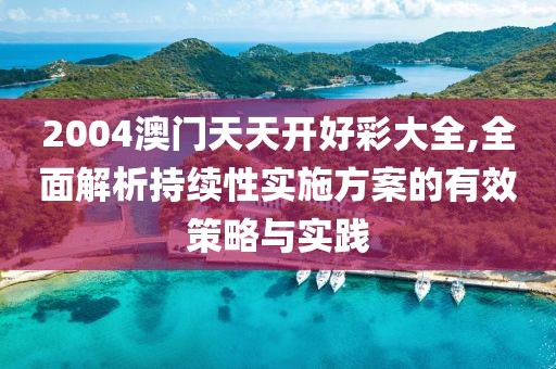 2004澳门天天开好彩大全,全面解析持续性实施方案的有效策略与实践