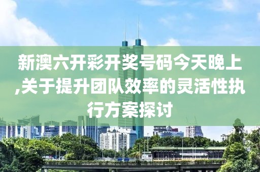 新澳六开彩开奖号码今天晚上,关于提升团队效率的灵活性执行方案探讨