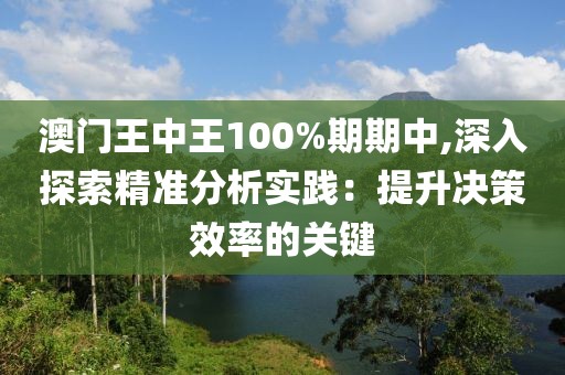 澳门王中王100%期期中,深入探索精准分析实践：提升决策效率的关键