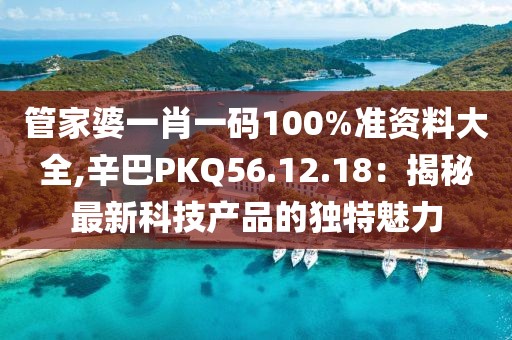 管家婆一肖一码100%准资料大全,辛巴PKQ56.12.18：揭秘最新科技产品的独特魅力