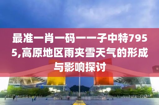 最准一肖一码一一子中特7955,高原地区雨夹雪天气的形成与影响探讨