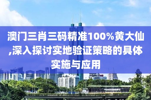 澳门三肖三码精准100%黄大仙,深入探讨实地验证策略的具体实施与应用