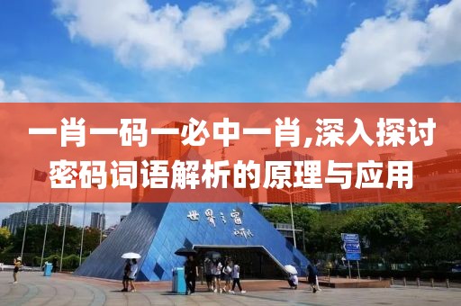 一肖一码一必中一肖,深入探讨密码词语解析的原理与应用