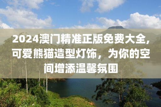 2024澳门精准正版免费大全,可爱熊猫造型灯饰，为你的空间增添温馨氛围