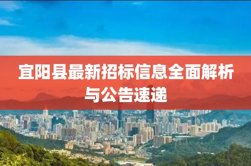 宜阳县最新招标信息全面解析与公告速递