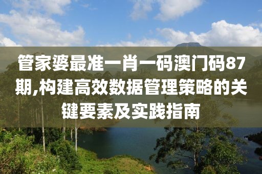 管家婆最准一肖一码澳门码87期,构建高效数据管理策略的关键要素及实践指南