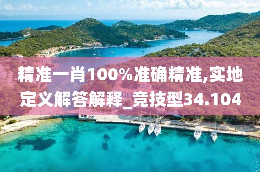 精准一肖100%准确精准,实地定义解答解释_竞技型34.104