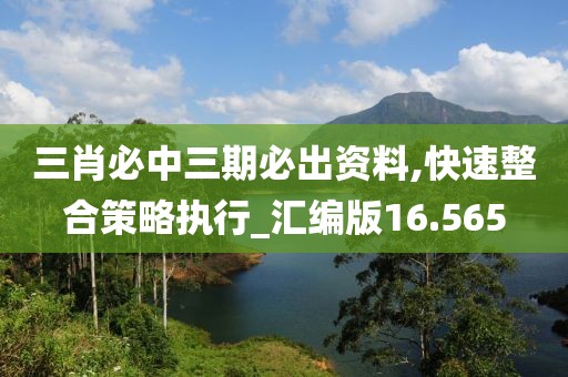 三肖必中三期必出资料,快速整合策略执行_汇编版16.565