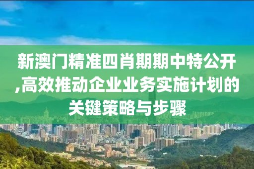 新澳门精准四肖期期中特公开,高效推动企业业务实施计划的关键策略与步骤