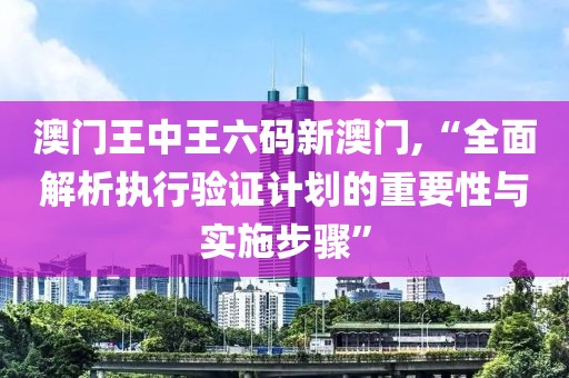 澳门王中王六码新澳门,“全面解析执行验证计划的重要性与实施步骤”