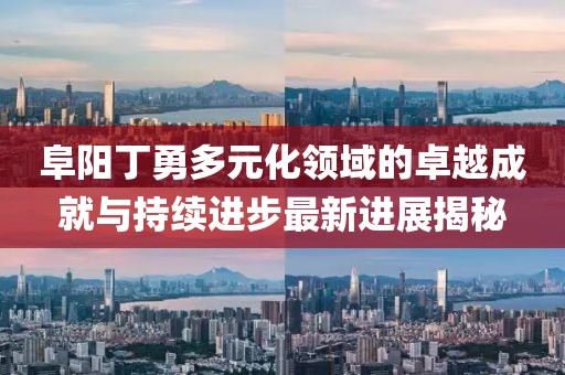 阜阳丁勇多元化领域的卓越成就与持续进步最新进展揭秘