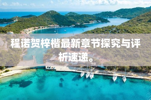 程诺贺梓楷最新章节探究与评析速递。