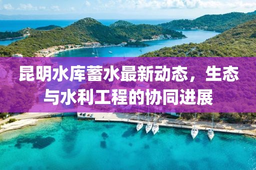昆明水库蓄水最新动态，生态与水利工程的协同进展