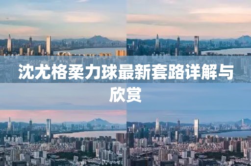 沈尤格柔力球最新套路详解与欣赏