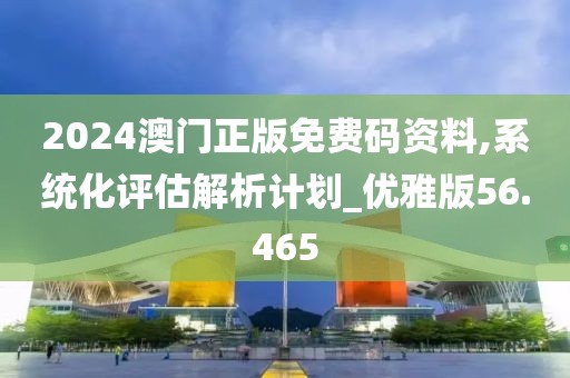 2024澳门正版免费码资料,系统化评估解析计划_优雅版56.465