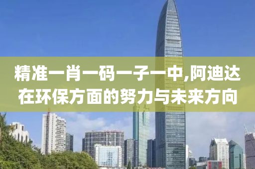 精准一肖一码一子一中,阿迪达在环保方面的努力与未来方向