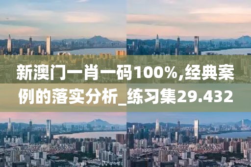 新澳门一肖一码100%,经典案例的落实分析_练习集29.432