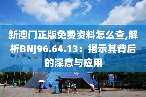 新澳门正版免费资料怎么查,解析BNJ96.64.13：揭示其背后的深意与应用