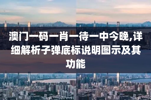 澳门一码一肖一待一中今晚,详细解析子弹底标说明图示及其功能
